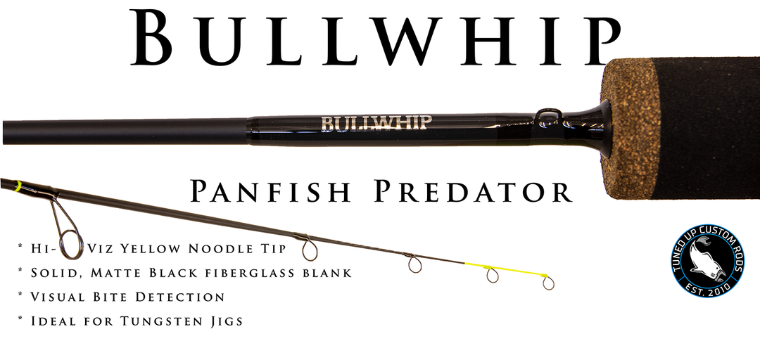 Bullwhip