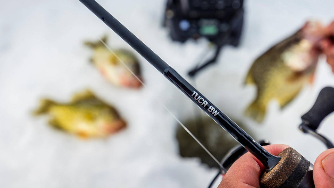 The Precision Noodle or Bullwhip? Learn Which Panfish Rod is Right for You